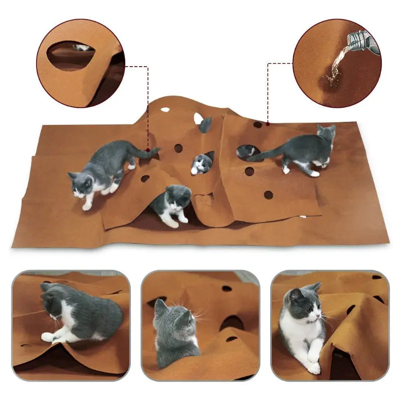 Cat Playing Mat Training Pet Activity Play Mats Collapsible Pets Rug Scratch Resistant Toys Bite Pad Dropshipping beldemo5-toys2