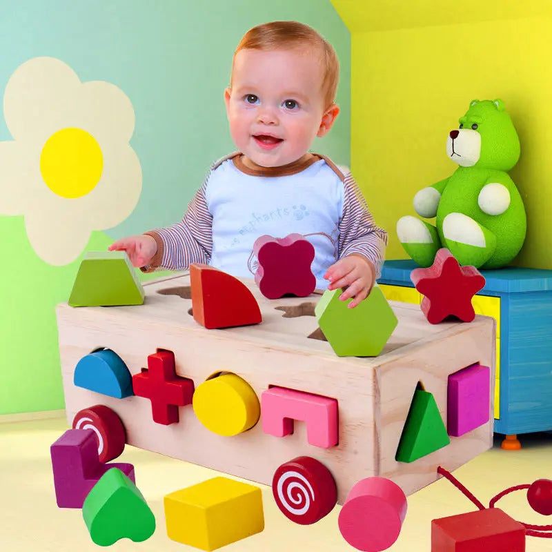 Shape matching building blocks beldemo5-toys2