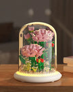 Carnation
