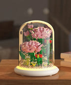 Carnation