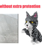 No Extra Protectio cat