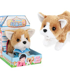 Corgi