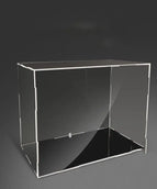 Globe dust cover