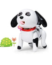 Dalmatian