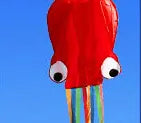 3D 4M Large Octopus Kite with Handle Line Children Outdoor Summer Game Professional Stunt Software Power Beach Kite Kids Toy beldemo5-toys2