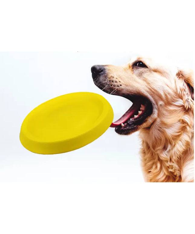 Pet Dogs Throwing Plastic Toys beldemo5-toys2