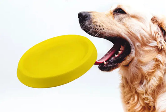 Pet Dogs Throwing Plastic Toys beldemo5-toys2
