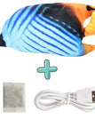Butterfly fish with fish food