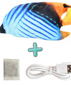 Butterfly fish with fish food