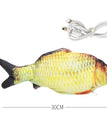 Carp