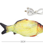 Carp
