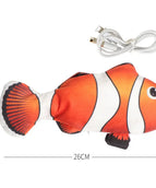 Clownfish