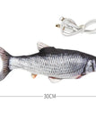 Crucian carp