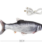Crucian carp