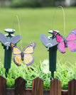 Solar butterfly
