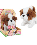 Saint Bernard