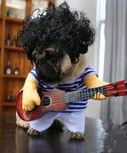 Guitar cloth+hair