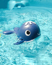 Fish dark blue