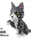 Gray cat