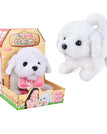 Bichon