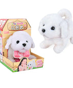 Bichon