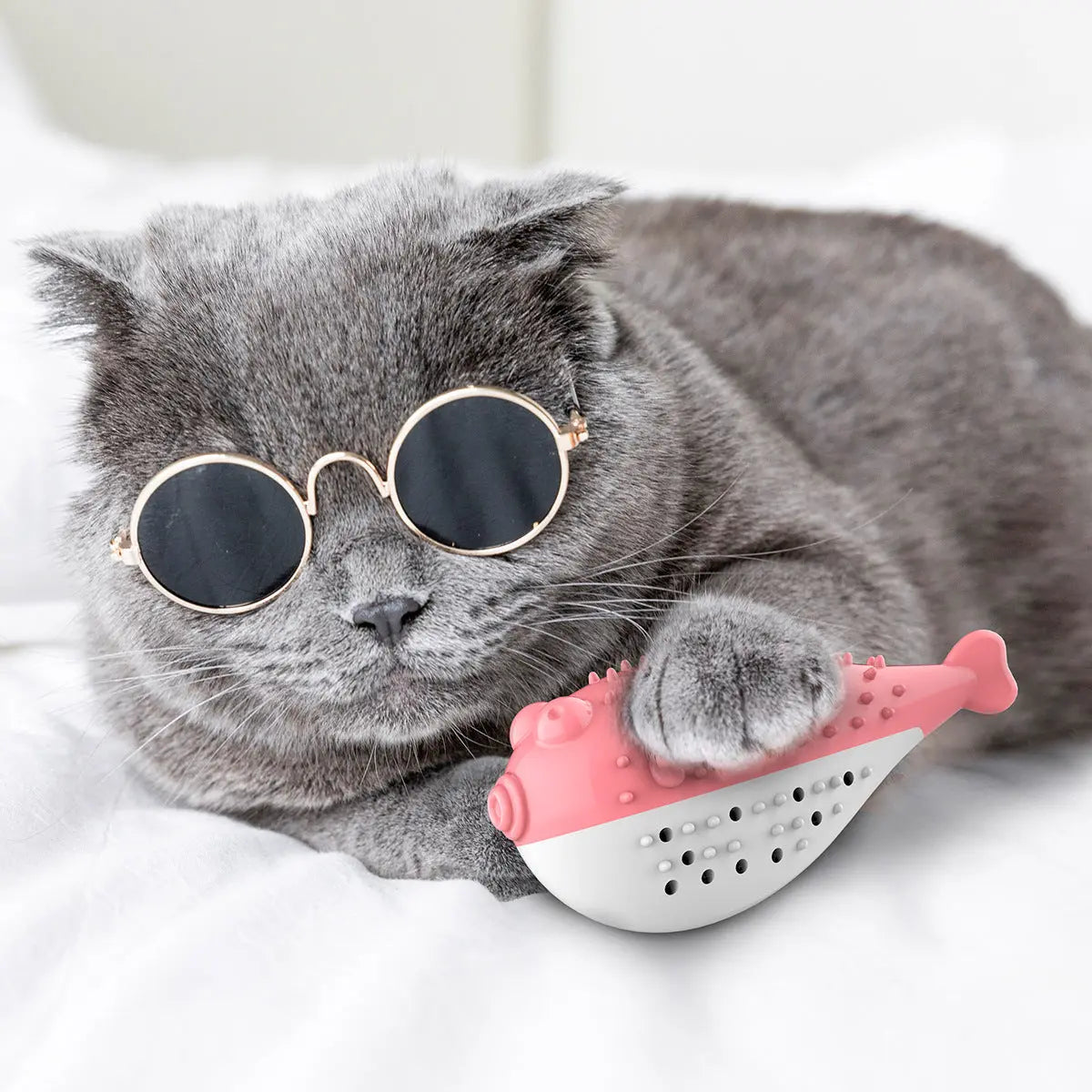 Mint Simulation Fish Cat Toothbrush Toy beldemo5-toys2