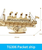 Cruise ship