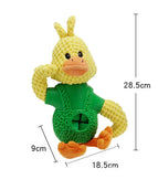 Yellow duck in vest