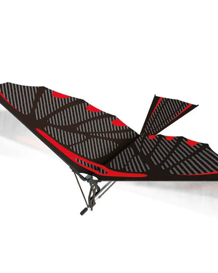 Double - wing rubber - powered aircraft beldemo5-toys2