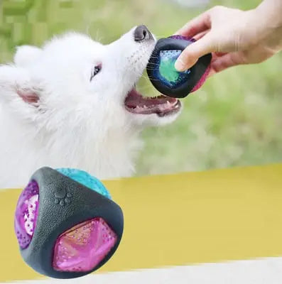Dog toy ball beldemo5-toys2