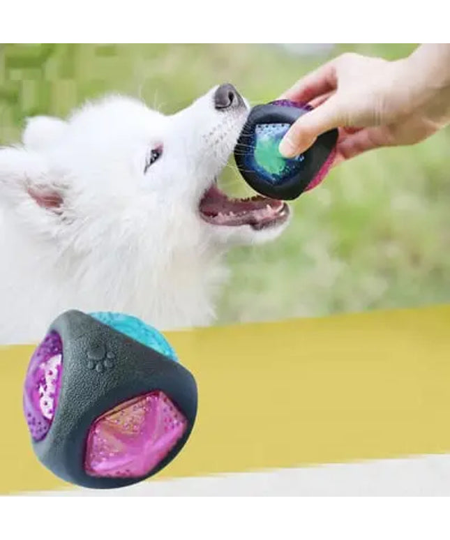 Dog toy ball beldemo5-toys2