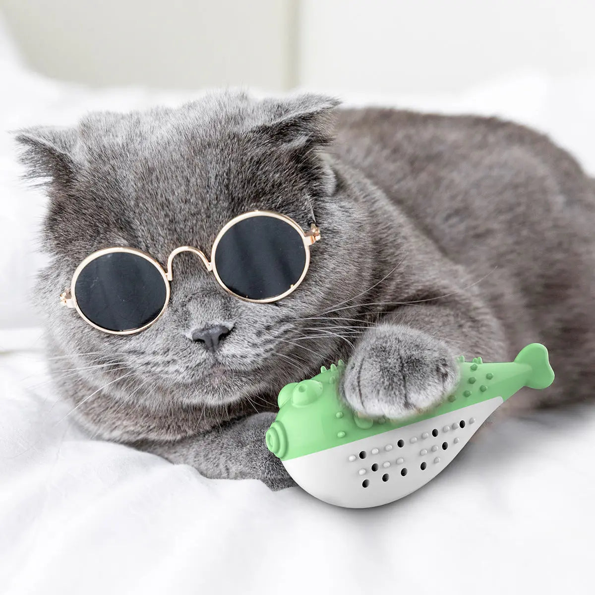 Mint Simulation Fish Cat Toothbrush Toy beldemo5-toys2