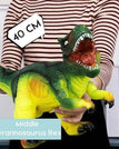 Tyrannosaurus Rex