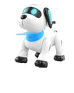 Stunt Dog Chinese Packaging