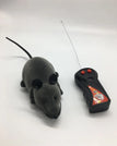 Grey mouse