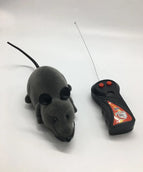 Grey mouse