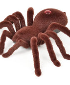 Brown Spider