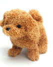 Teddy