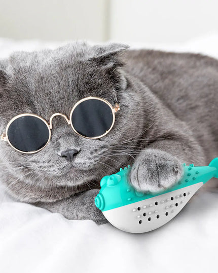 Mint Simulation Fish Cat Toothbrush Toy beldemo5-toys2