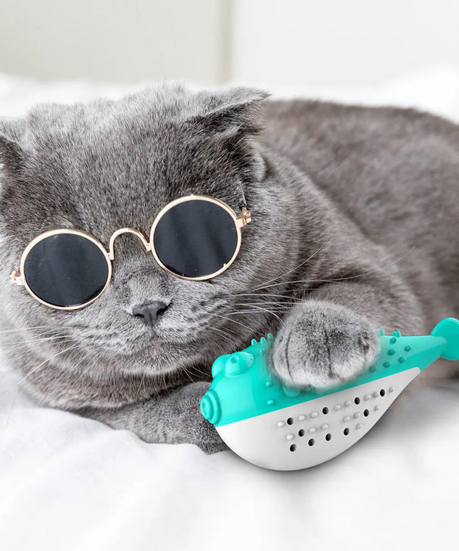 Mint Simulation Fish Cat Toothbrush Toy beldemo5-toys2