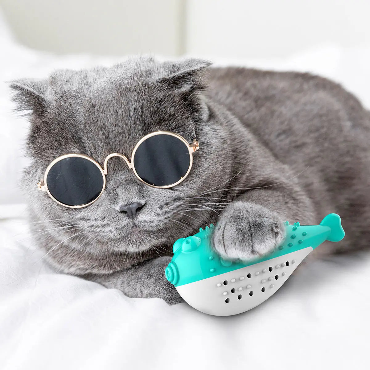 Mint Simulation Fish Cat Toothbrush Toy beldemo5-toys2