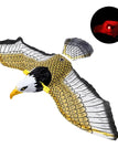Hanging eagle voice