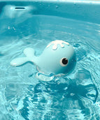 Fish Light blue