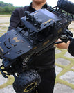 D01