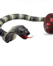 Cobra noir et gris