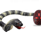 Black Grey Cobra