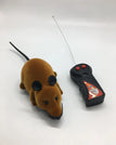 Brown mouse