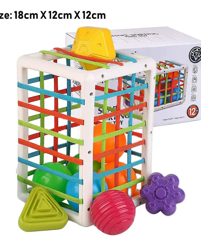 Toddler Fine Movement Baby Grip Training Amazon Baby Montessori Early Education Toys beldemo5-toys2