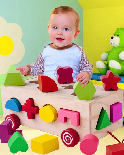 Shape matching building blocks beldemo5-toys2