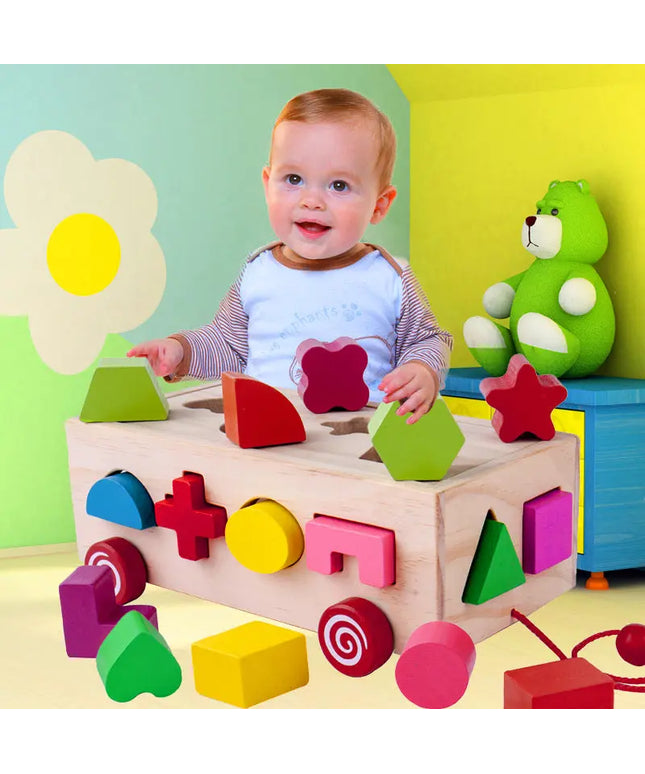 Shape matching building blocks beldemo5-toys2